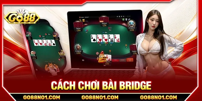 Cách Chơi Bài Bridge Là Gì? 5+ Mẹo Đánh Bài Bridge Bất Bại